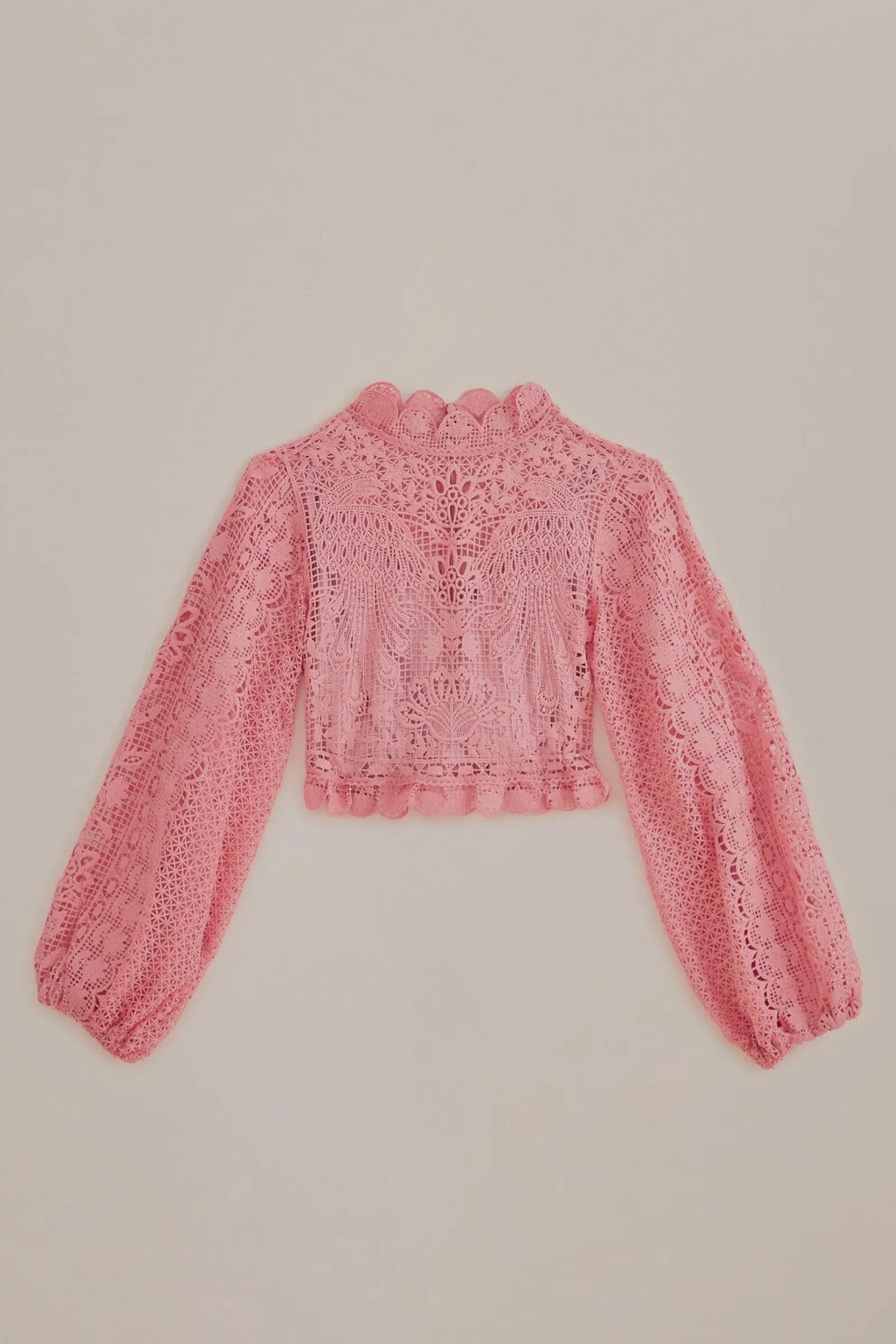 BLUSH PINK GUIPURE LONG SLEEVE BLOUSE