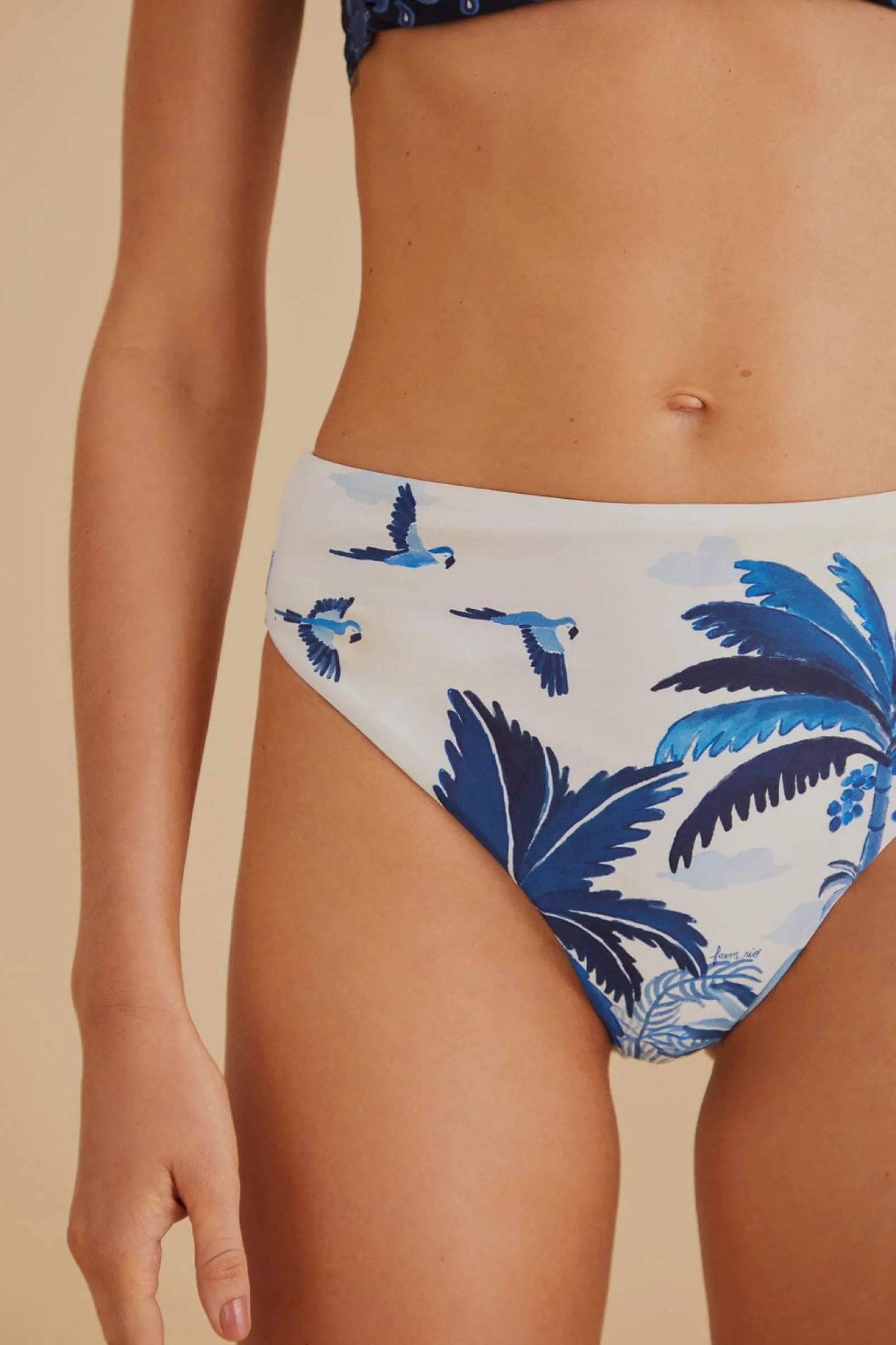 DREAM SKY HIGH WAISTED BIKINI BOTTOM